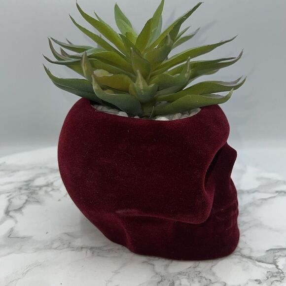 FLORA BUNDA Flocked Velvet Skull Planter with Artificial Succulent - Picture 4 of 7